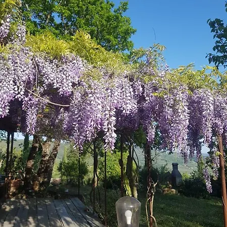 Hébergement de vacances Casa Intera Giardino E Piscina Tuoro sul Trasimeno